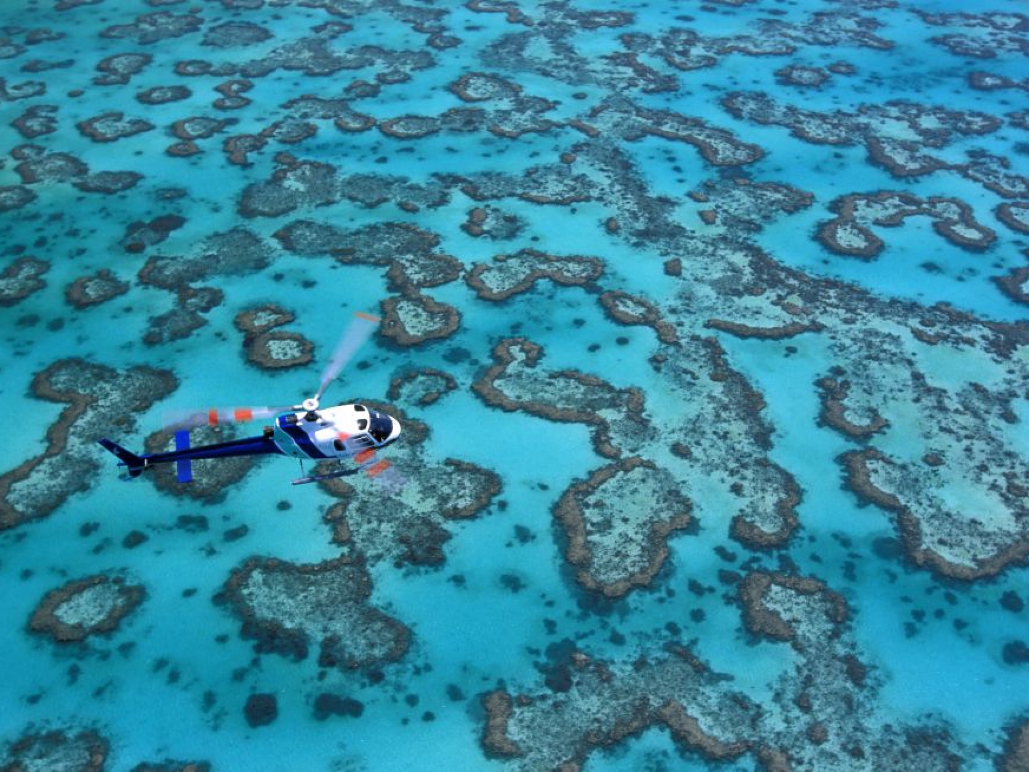 Australia submarina